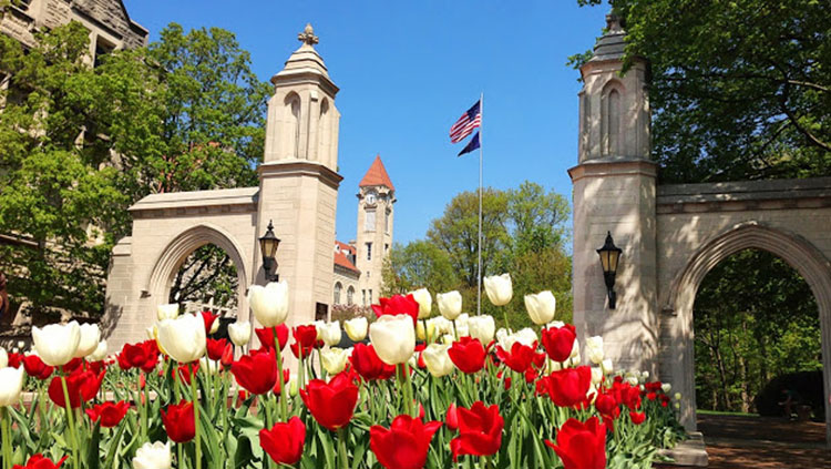 MFA Opportunity at Indiana University